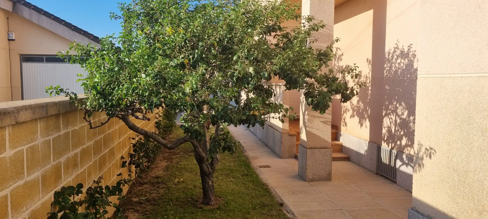 Haus oder Chalet zum Verkauf in Calvarrasa de Abajo, Salamanca
