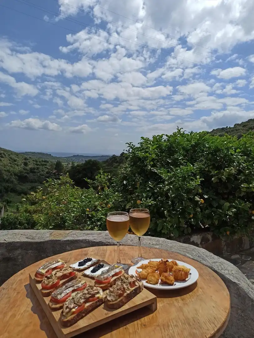 Finca rústica en venta en Altos de Estepona