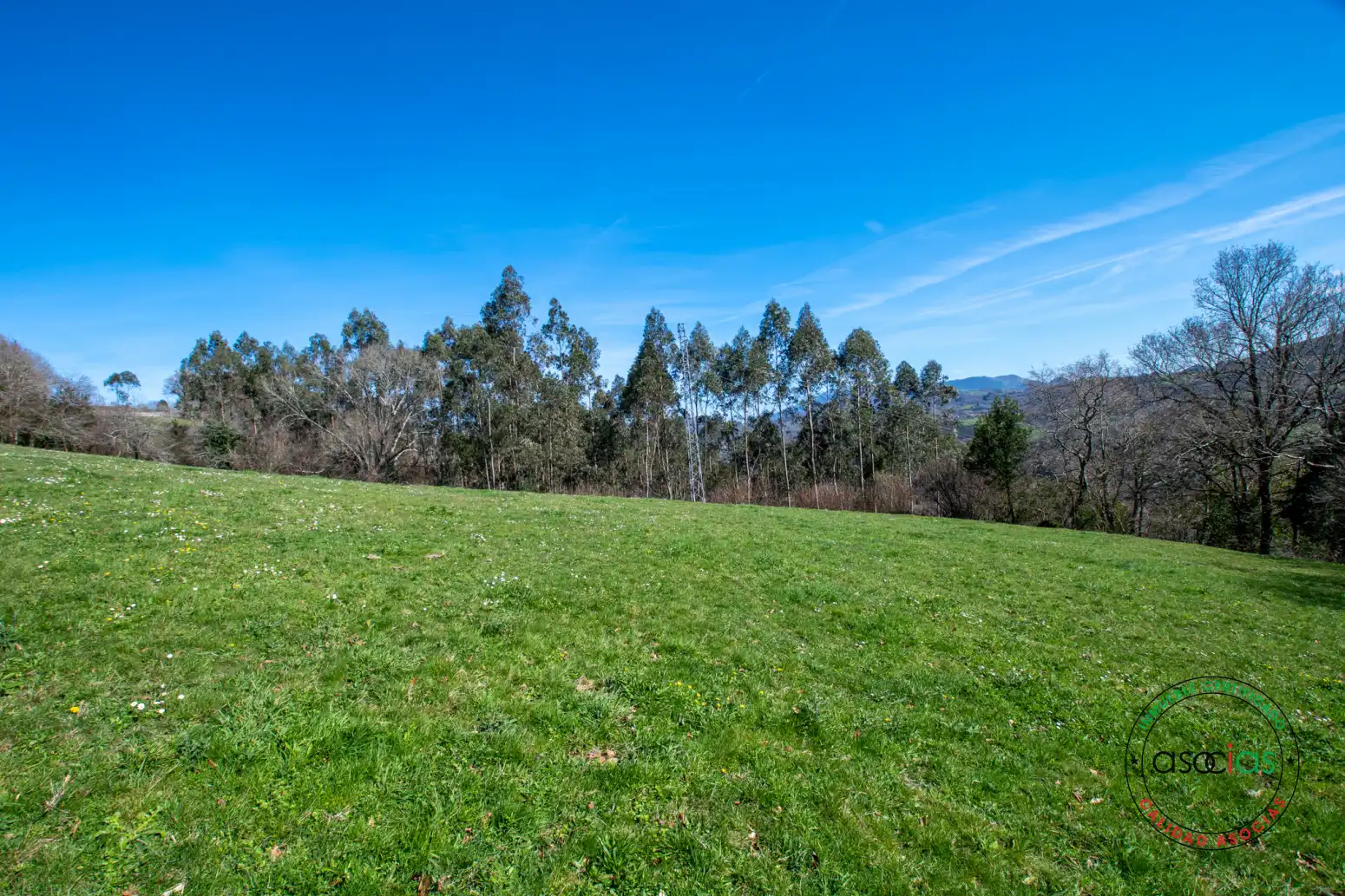 Terreno rustico in vendita a Cabranes - Naveda, imagen 30