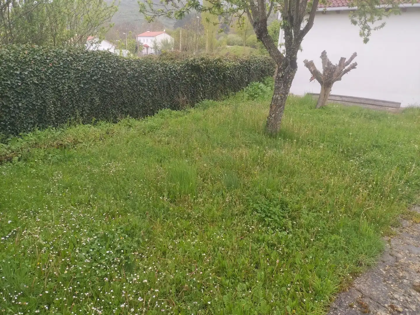 Casa o chalet en venta en Santibáñez de la Peña