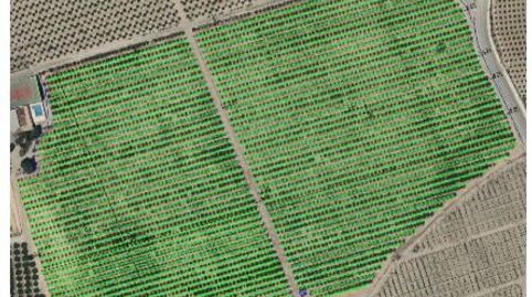 Photo 2 of Country homes for sale in Cam. de Buenos, Benferri, Alicante