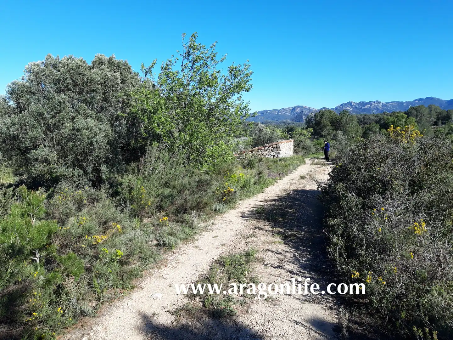 Rural land for sale in C-43, imagen 18