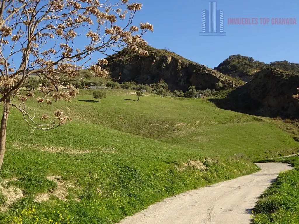 Landhaus zum Verkauf in EL ARROYO POLIGONO 5, imagen 3