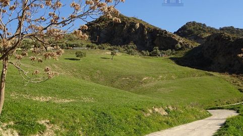 Foto 3 de Finca rústica en venta en El Arroyo, Polig, Monachil pueblo, Monachil