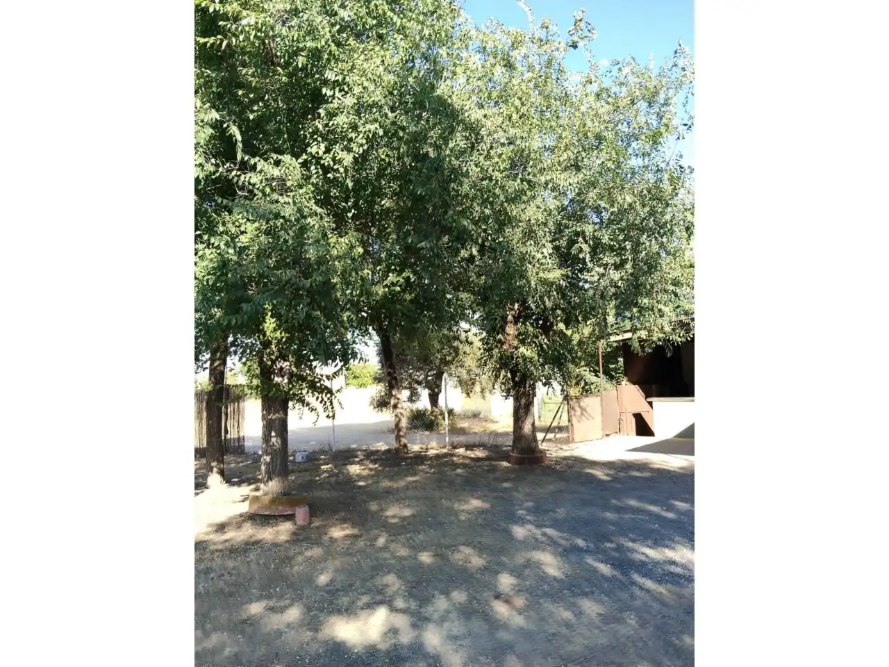 Exterior view of Houses for sale in Carmona  with Private garden and Terrace