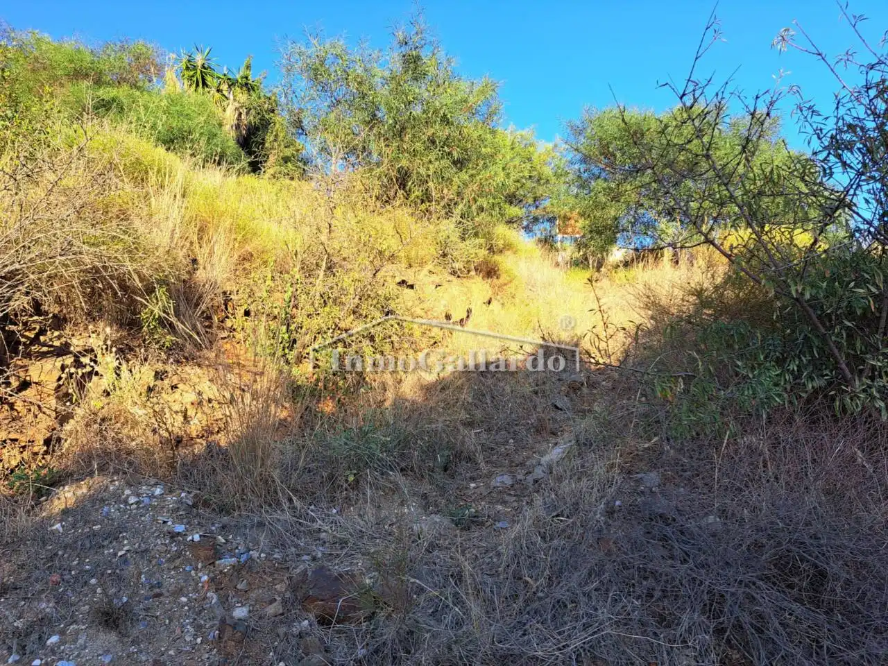 Terreni e lotti in vendita a Añoreta Golf - Paraíso del Sol, imagen 17