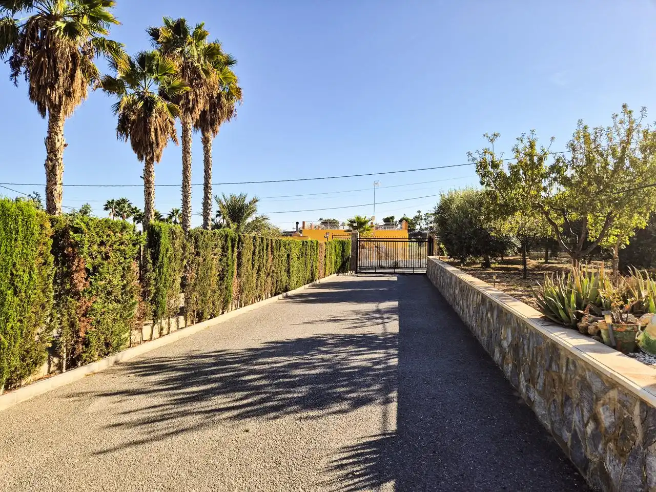 Vista exterior de Casa o chalet en venta en Elche / Elx con Aire acondicionado y Balcón