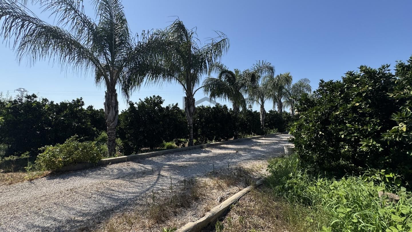Terreno en venta en Carcaixent