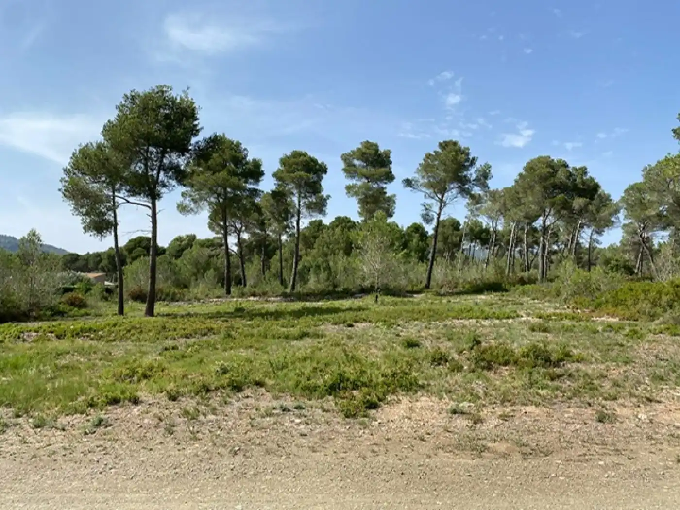 Terreny residencial en venda a Cabra del Camp, imagen 4