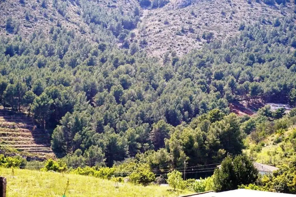 Terreny residencial en venda a Callosa d'en Sarrià, imagen 46