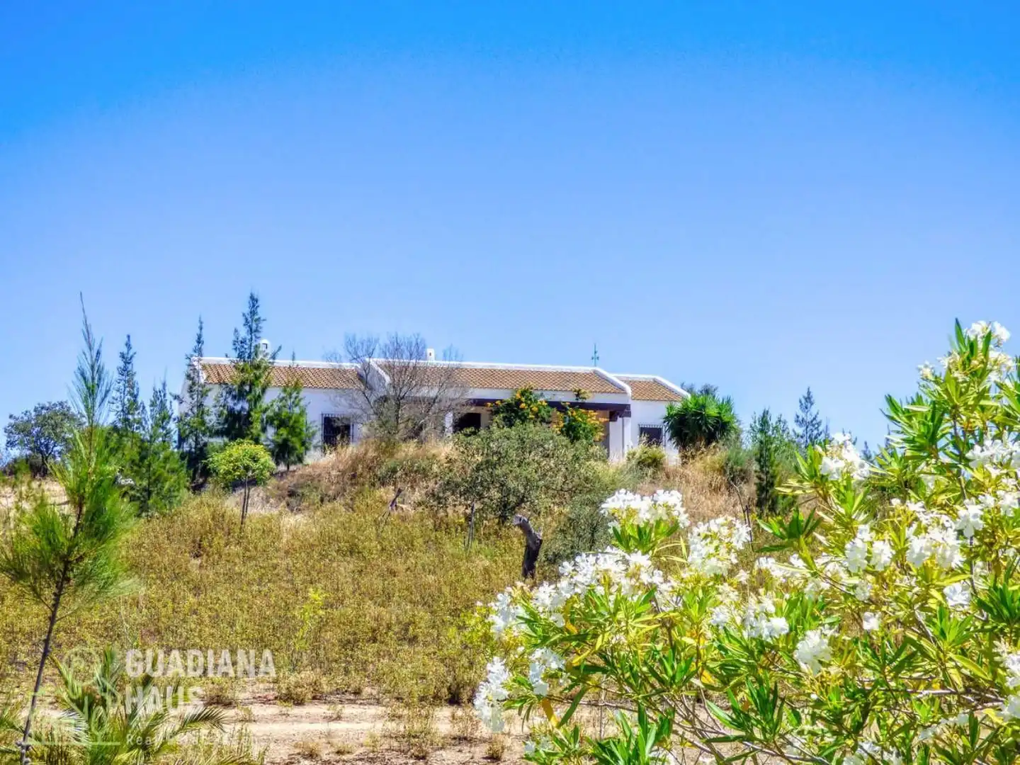 Exterior view of Country homes for sale in San Silvestre de Guzmán  with Private garden and Terrace
