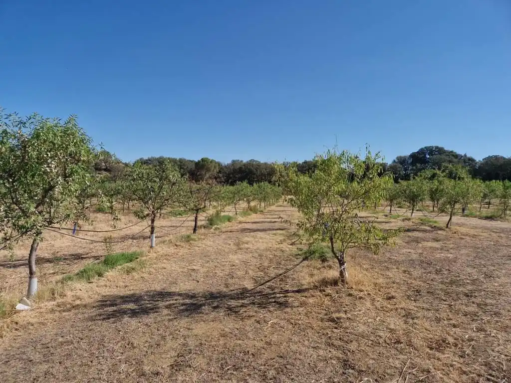 Terreno en venta en Binaced