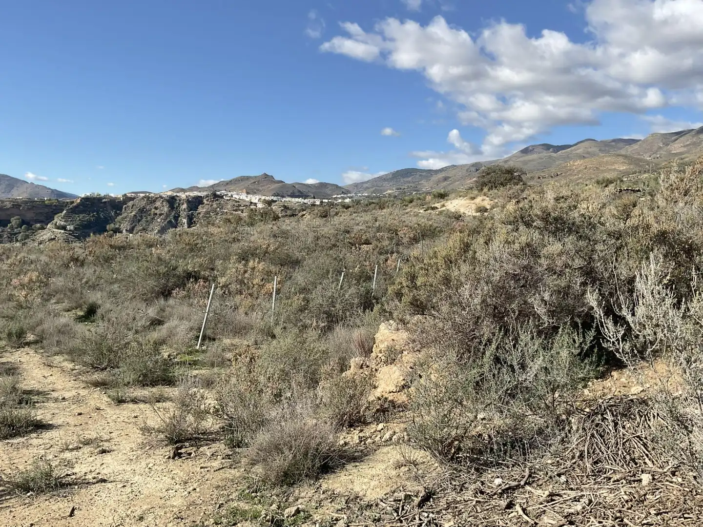 Land for sale in Padules
