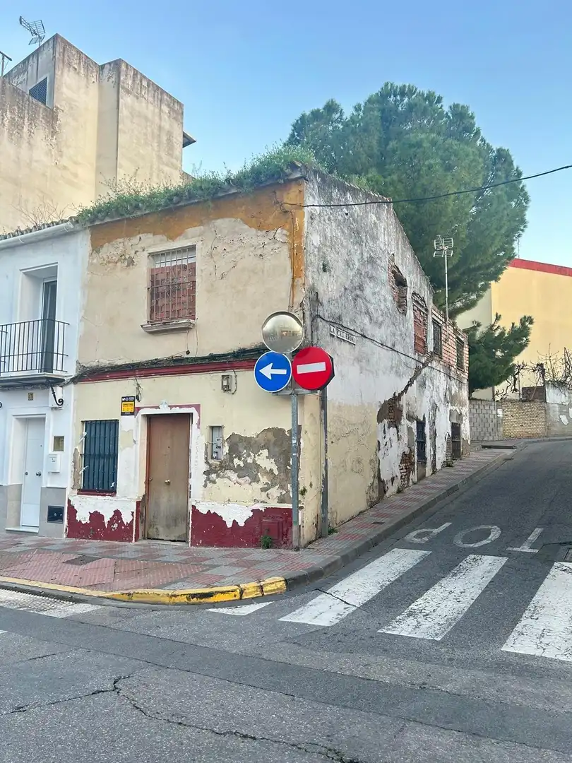 Exterior view of Detached homes for sale in Tomares