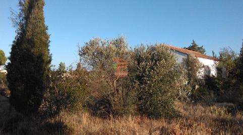 Photo 2 of Land for sale in Urbanización 19 Huertos Regao Peñaf, Peñaflor,  Zaragoza Capital