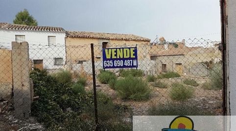 AlboxTerreno