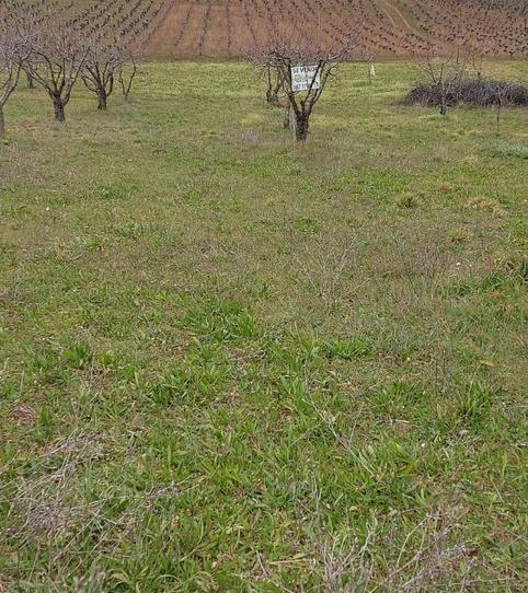 Foto 2 de Finca rústica en venda a Zona Alta, León
