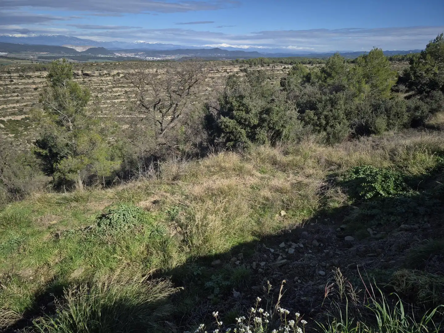 Residential land for sale in de la Llebre 19A, imagen 3