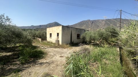 Finca de 15.000 metros cuadrados con casa, almacén y olivos en producción