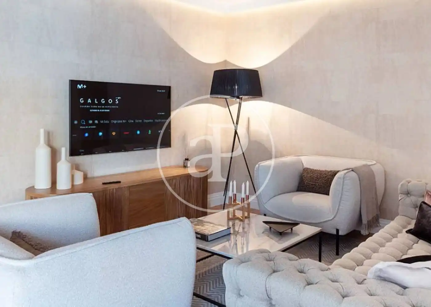 Living room of Flat for rent in  Madrid Capital  with Air Conditioner, Heating and Furnished