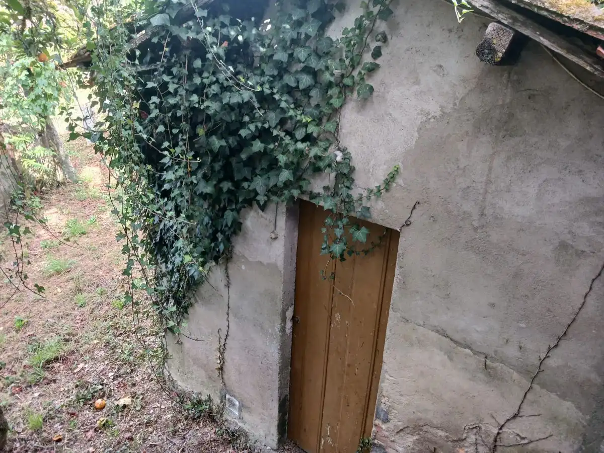 House for sale in San Roque, imagen 19
