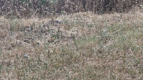 Foto 4 von Residential zum Verkauf in Calle Petunia, Las Flores, Valladolid Capital