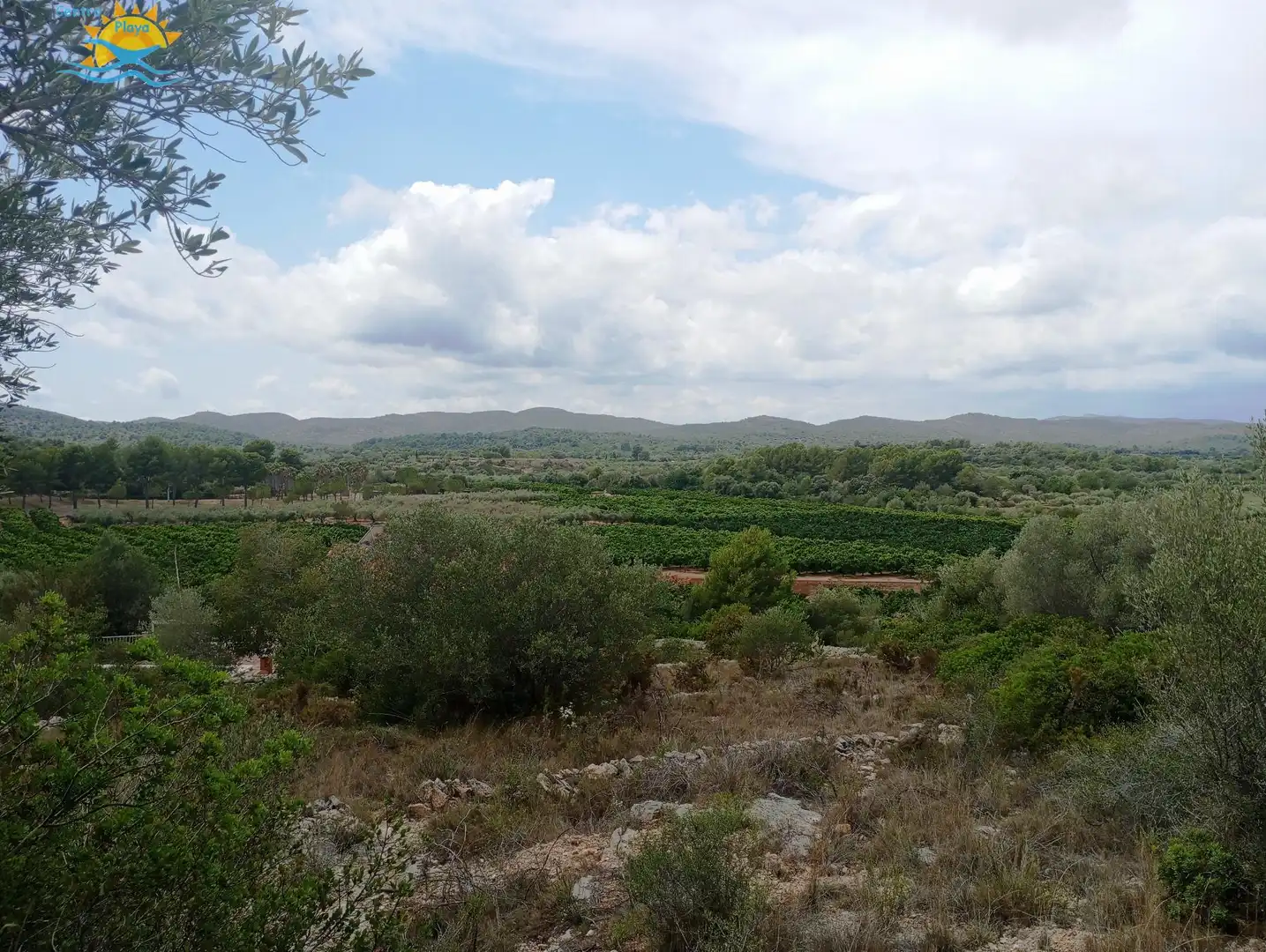 Maison rustique à vendre à CALIG CASTELLON 12589, imagen 5