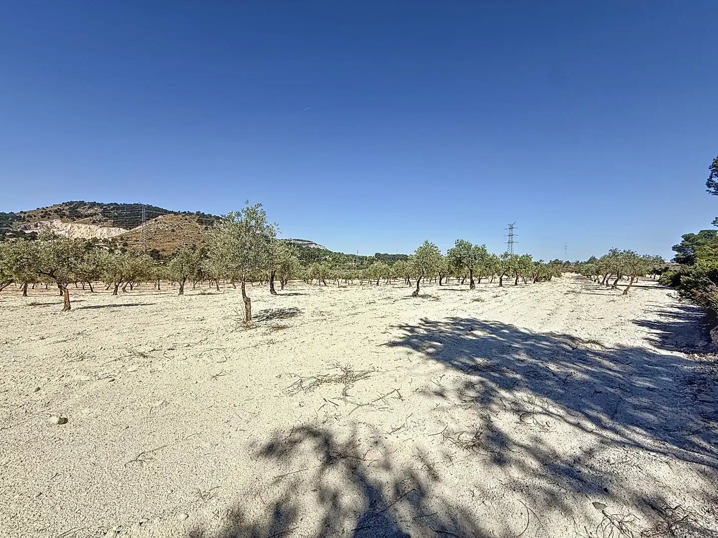 Terreno en venta en Biar