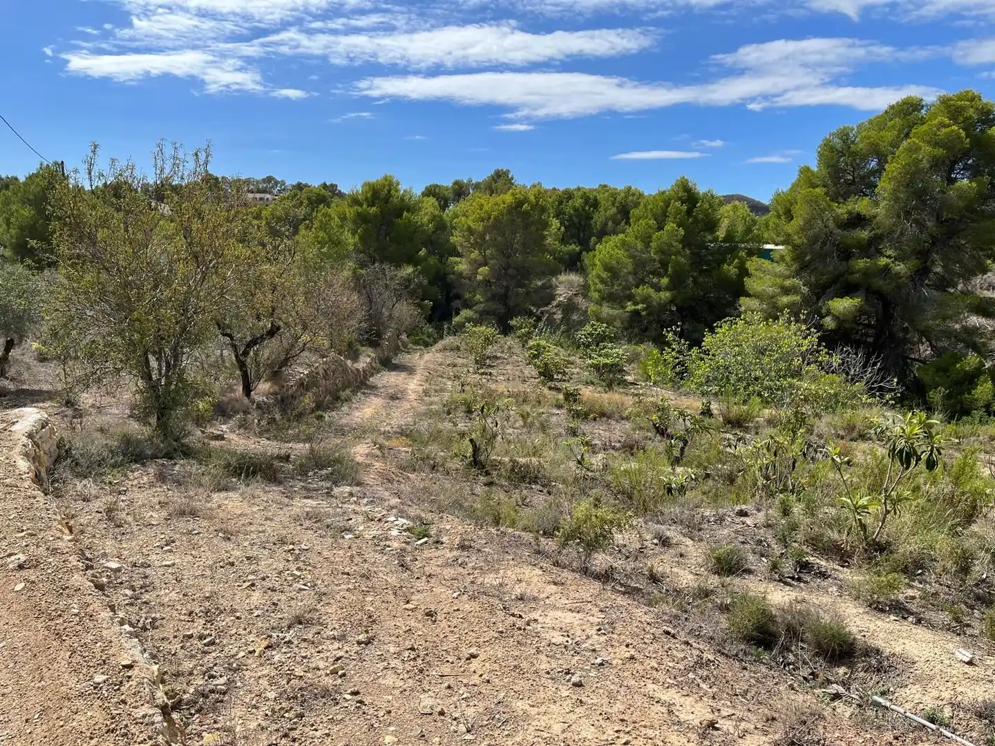 Terrenys i solars en venda a El Tossal - Bello Horizonte, imagen 6