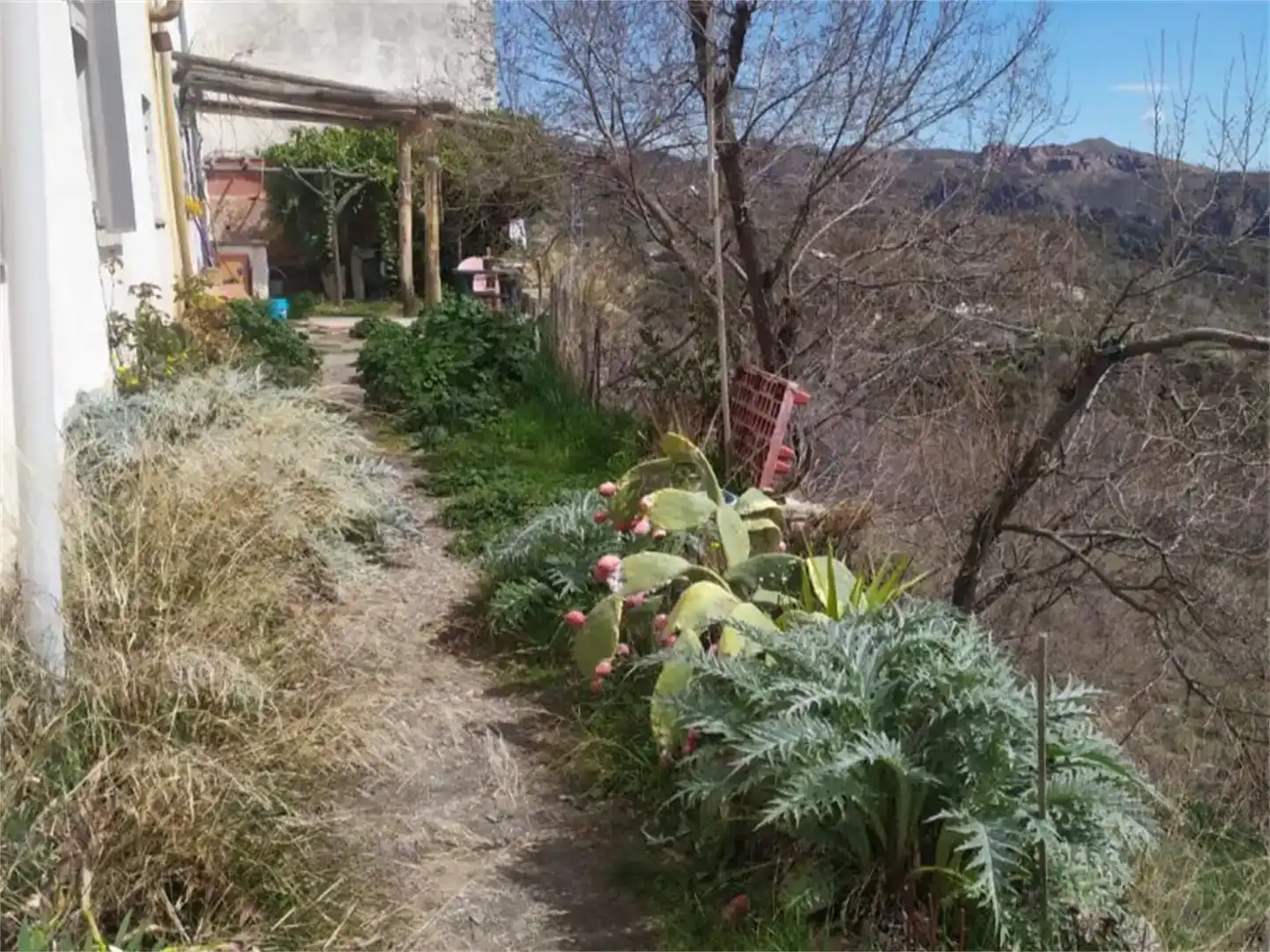 Jardí de Finca rústica en venda en La Taha amb Balcó