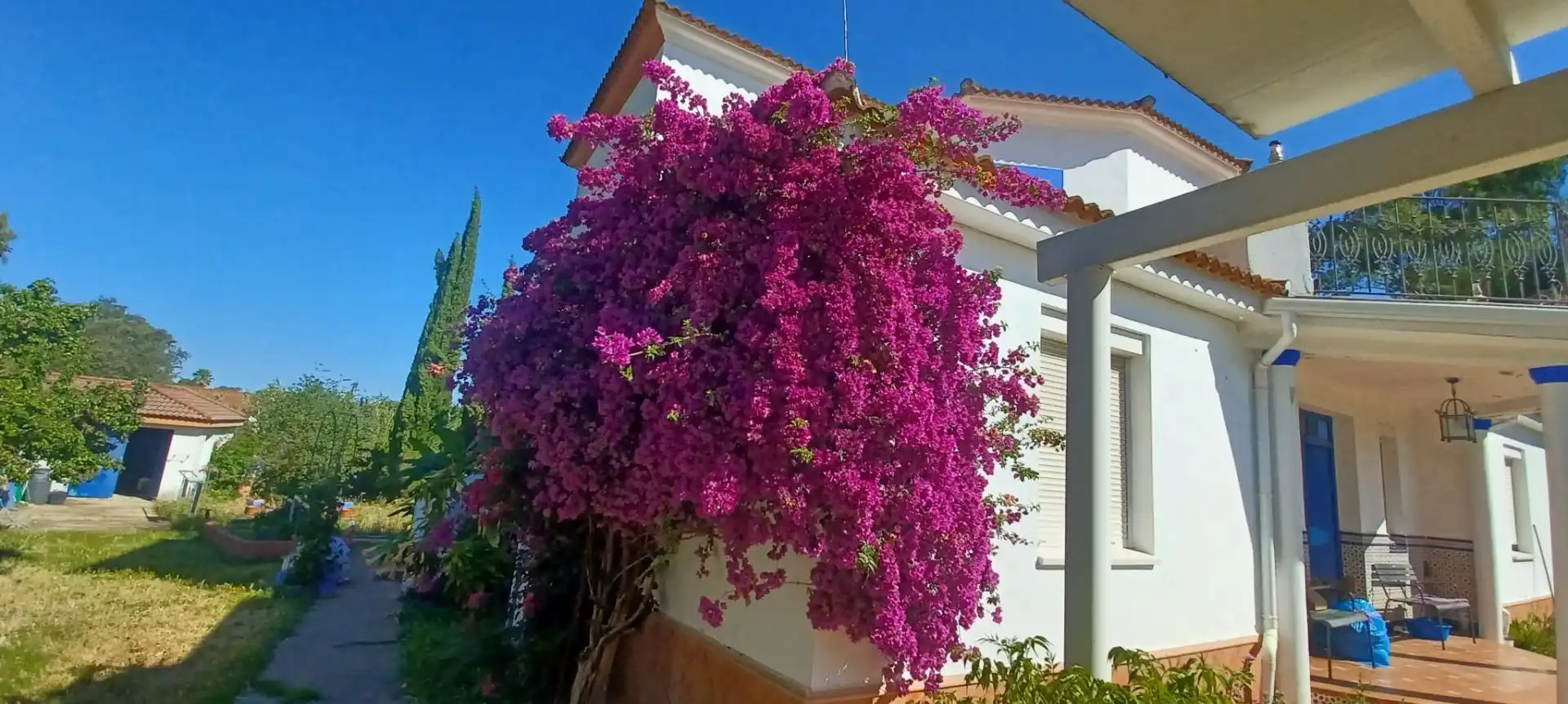 Jardín de Casa o chalet en venta en Castilblanco de los Arroyos con Aire acondicionado, Jardín privado y Terraza