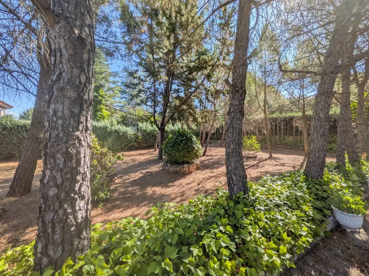 Chalet con piscina en venta en Pioz, imagen 43
