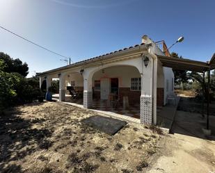 Vista exterior de Finca rústica en venda en Elche / Elx amb Piscina