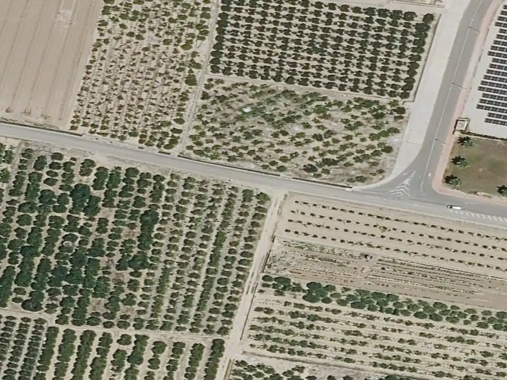 Piso en venta en Algemesí