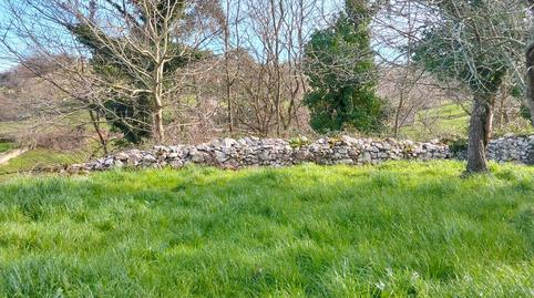Foto 5 de Terreno en venta en Calle Porrua, 12, Celorio - Poó - Parres, Llanes