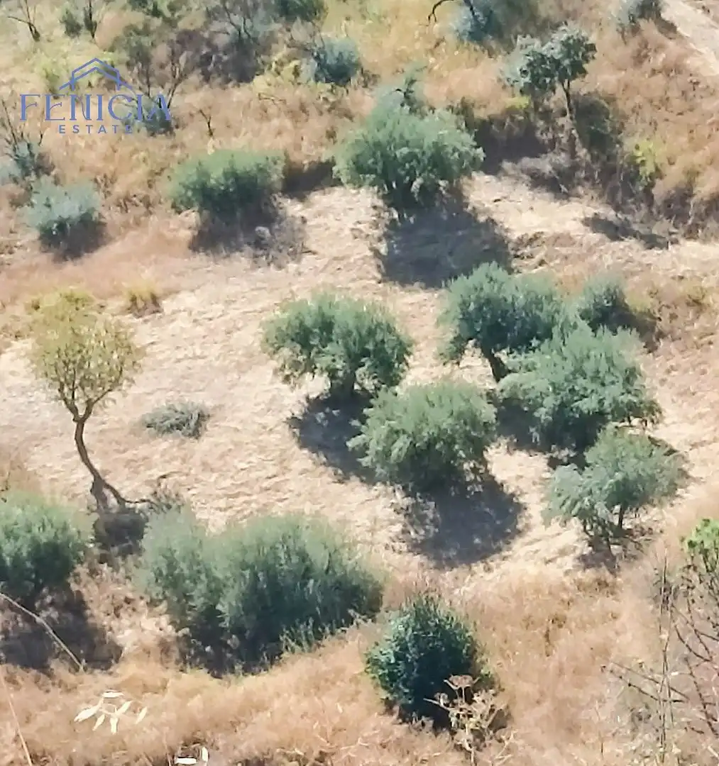 Terreni e lotti in vendita a El Rescate - Río Seco, imagen 3