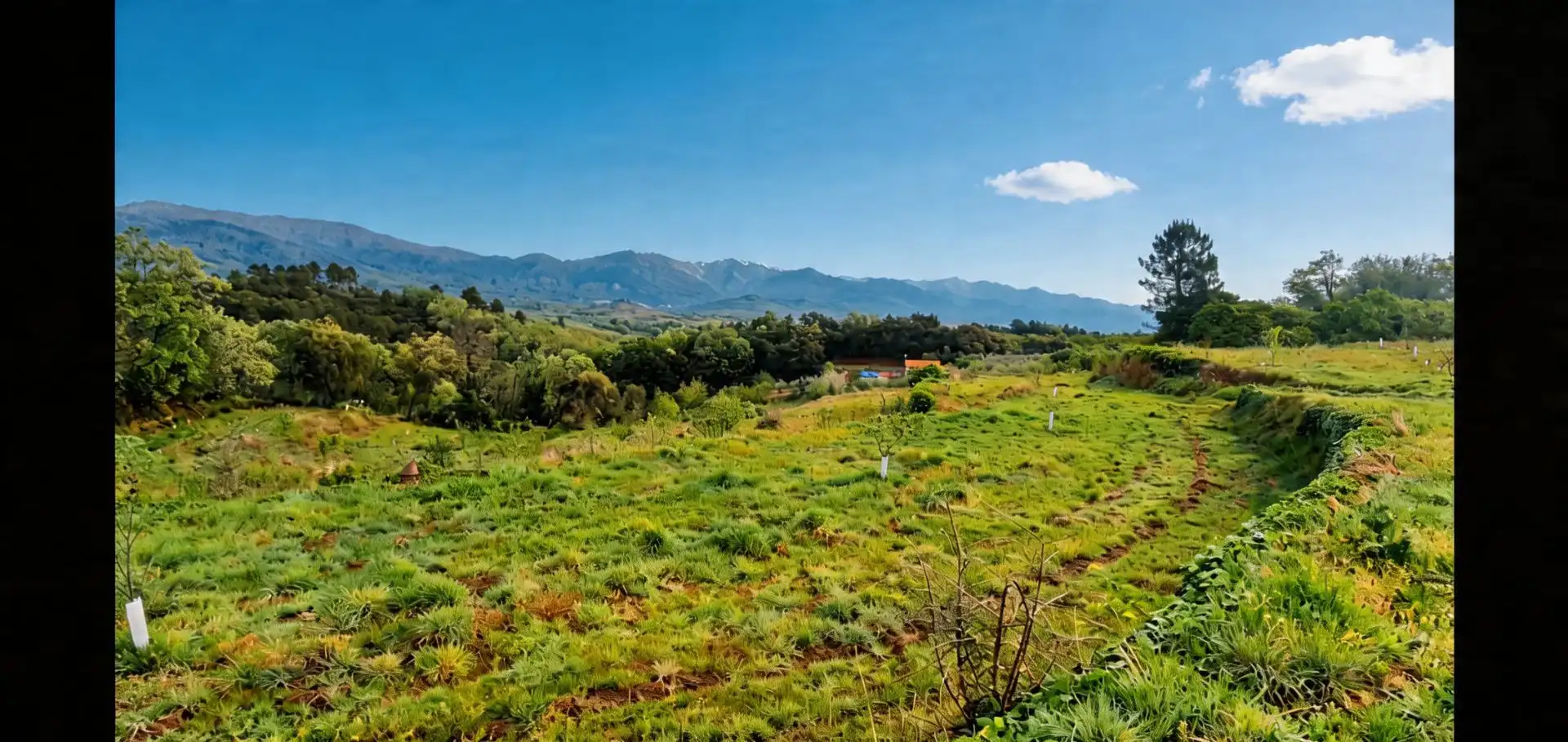 Terreno en venta en Jaraíz de la Vera