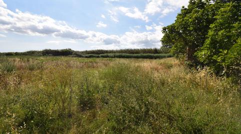 Foto 2 de Terreny en venda a Muro, Illes Balears