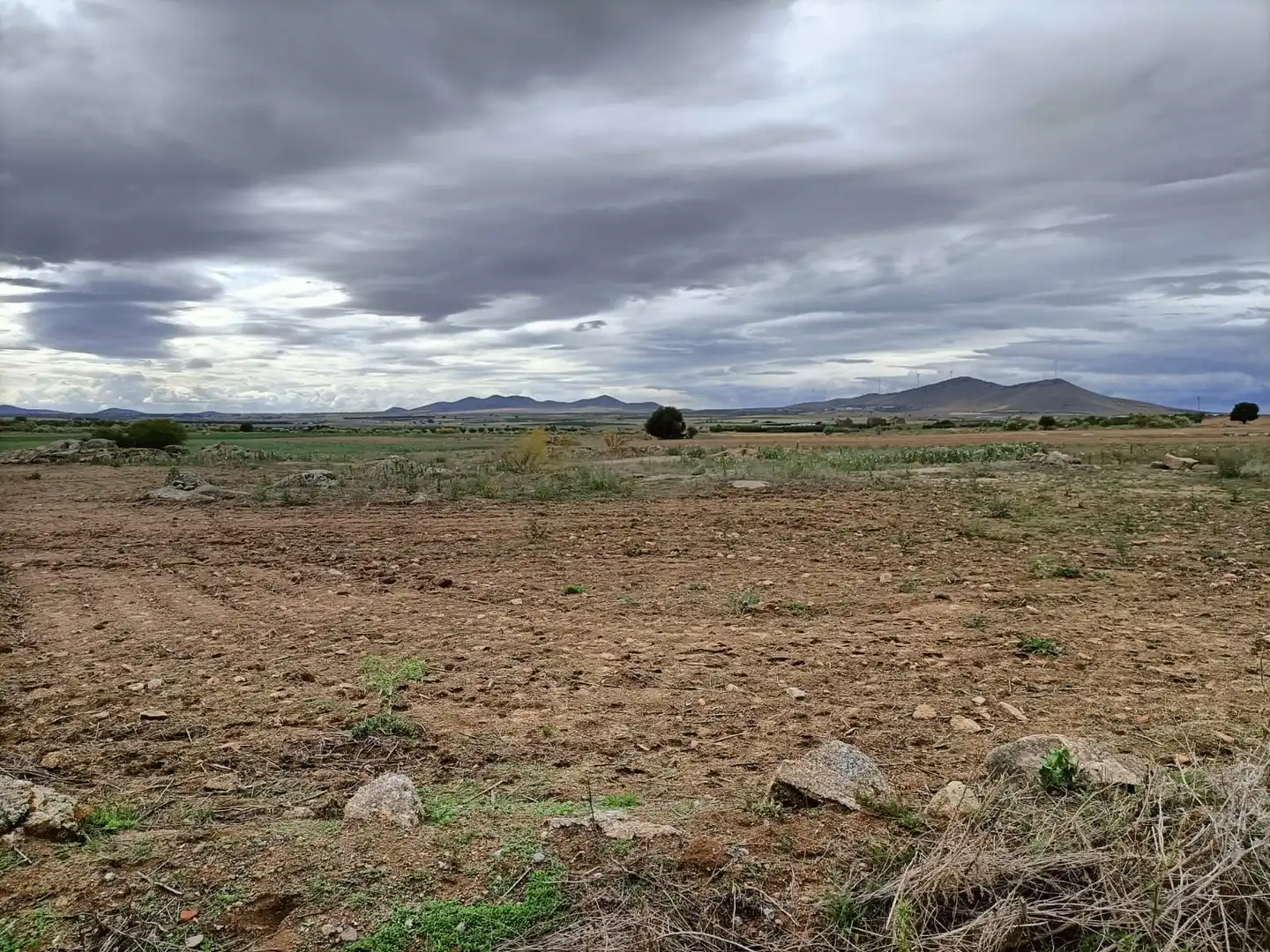 Terreno rustico in vendita a Nambroca, imagen 2