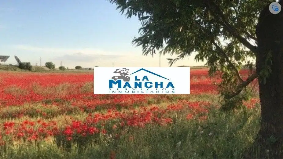 Terreno rustico in vendita a Avenida cuarta, imagen 2