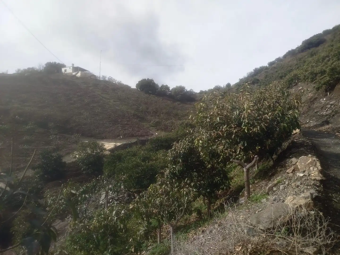 Finca rústica en venda en Vélez-Málaga amb Jardí privat, Traster i Moblat