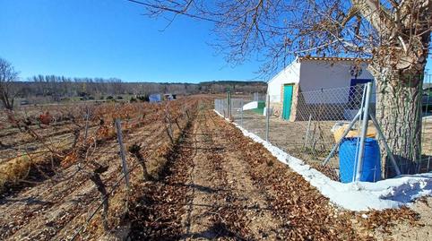 Foto 5 de Finca rústica en venta en Villalgordo del Júcar, Albacete