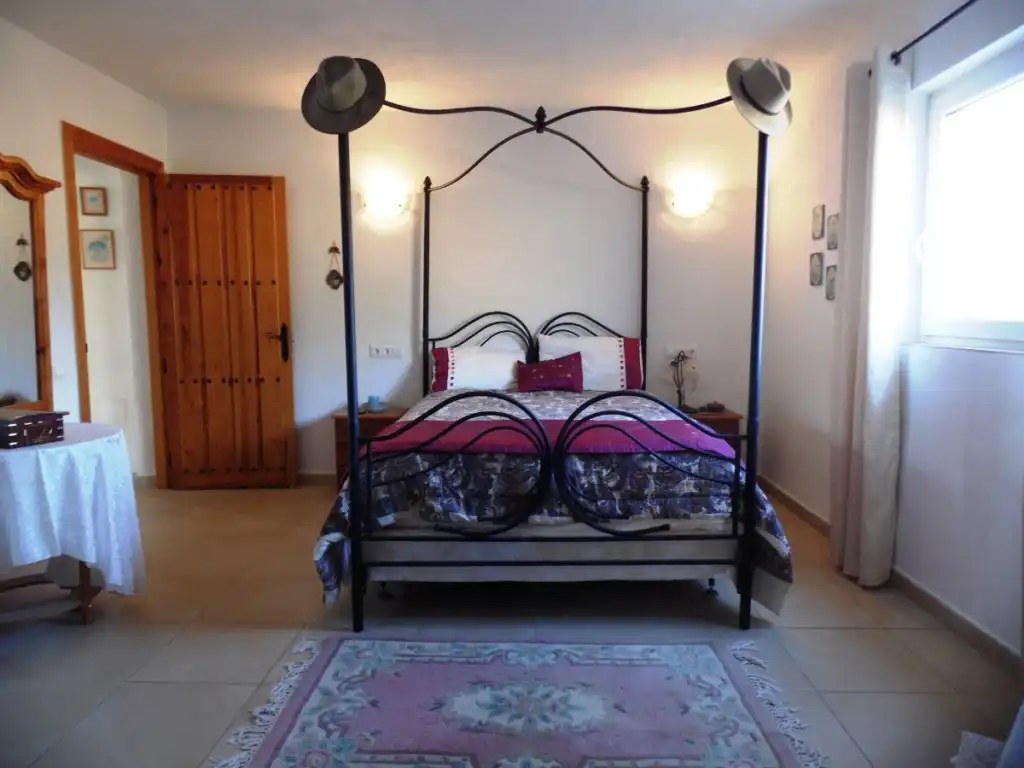 Casa rústica amb jardí en venda a Canillas de Aceituno, imagen 13