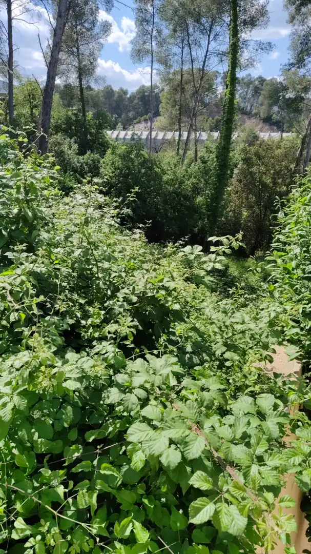 Wohnbaugrundstück zum Verkauf in Carrer Orient, imagen 6