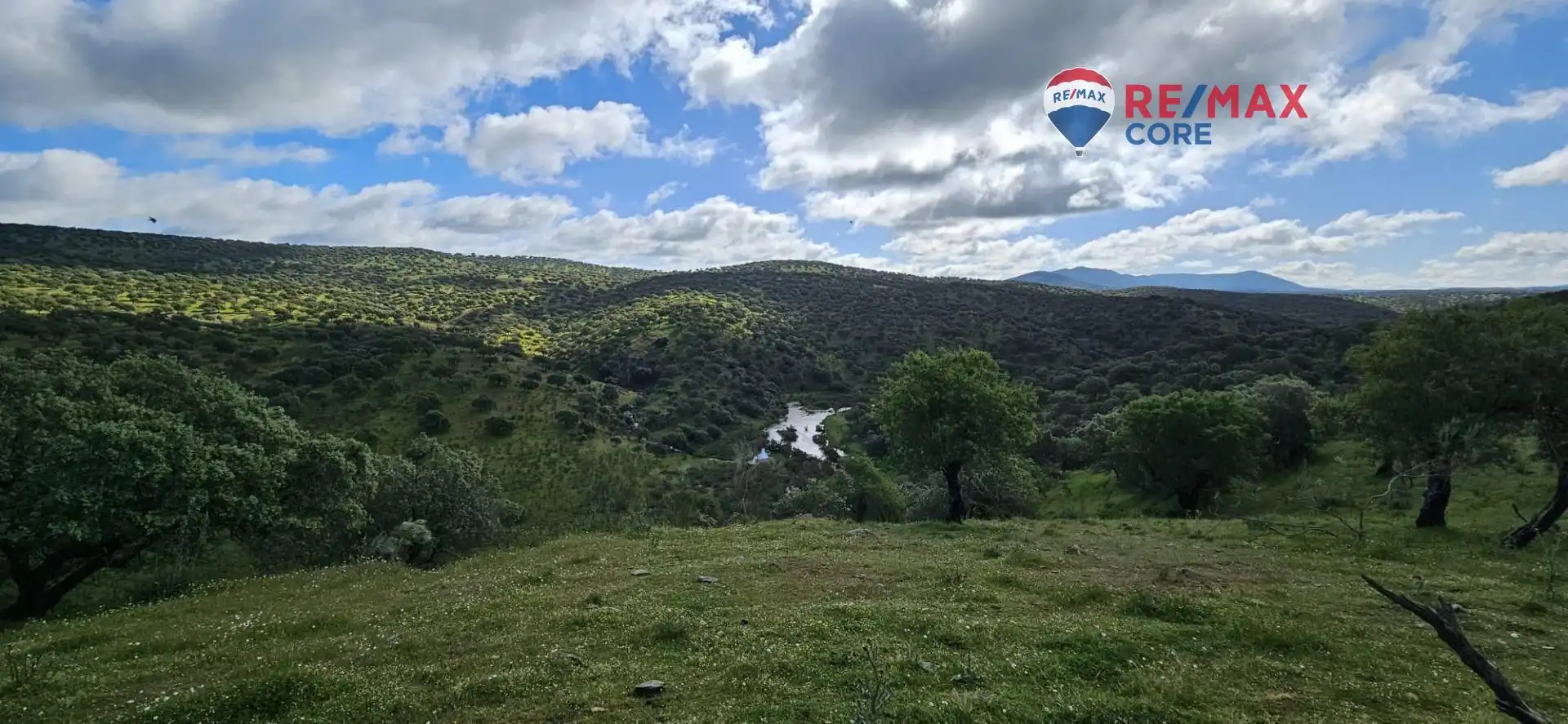Terreni e lotti in vendita a Siruela, imagen 29