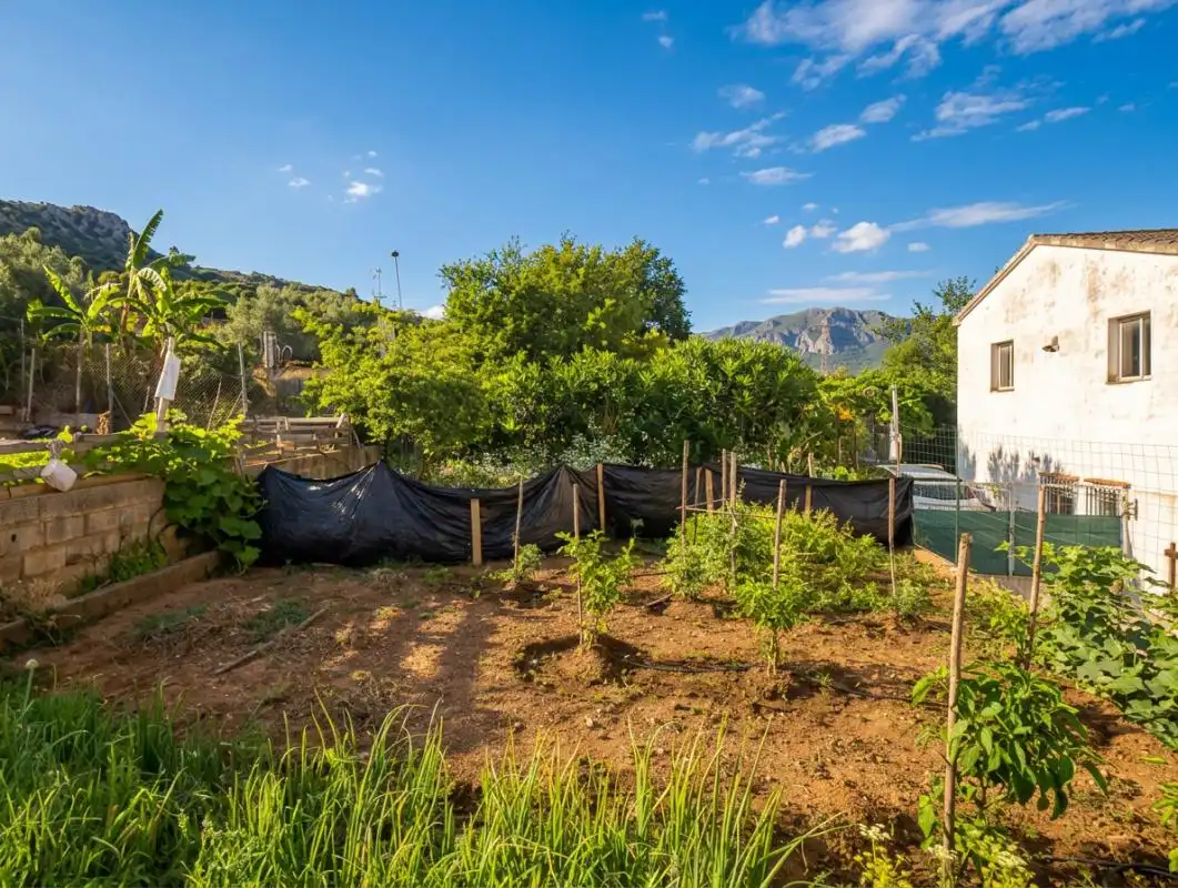 Jardín de Casa o chalet en venta en Simat de la Valldigna con Calefacción, Jardín privado y Terraza