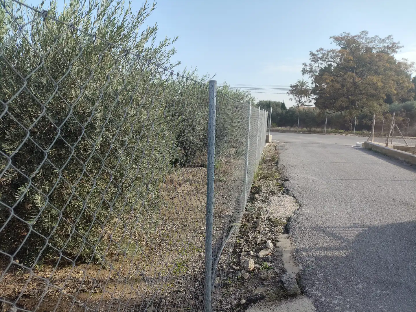 Rustikales Grundstück zum Verkauf in La Foia - Daimés - Asprella, imagen 8