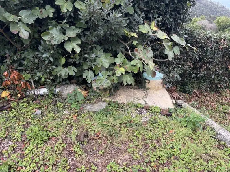 Jardí de Casa o xalet en venda en Ortigueira amb Calefacció, Jardí privat i Traster