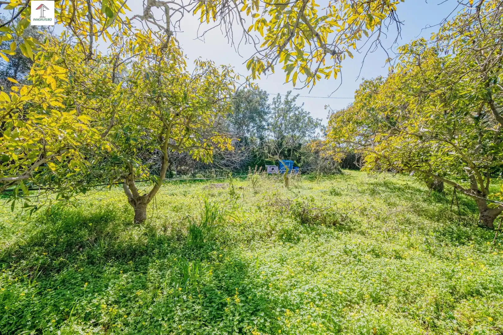 Casa o chalet en venta en Motril con Jardín privado, Terraza y Piscina