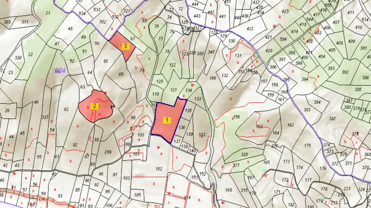 Rural land for sale in Ptda San Miguel, Timba y Palillo, imagen 2